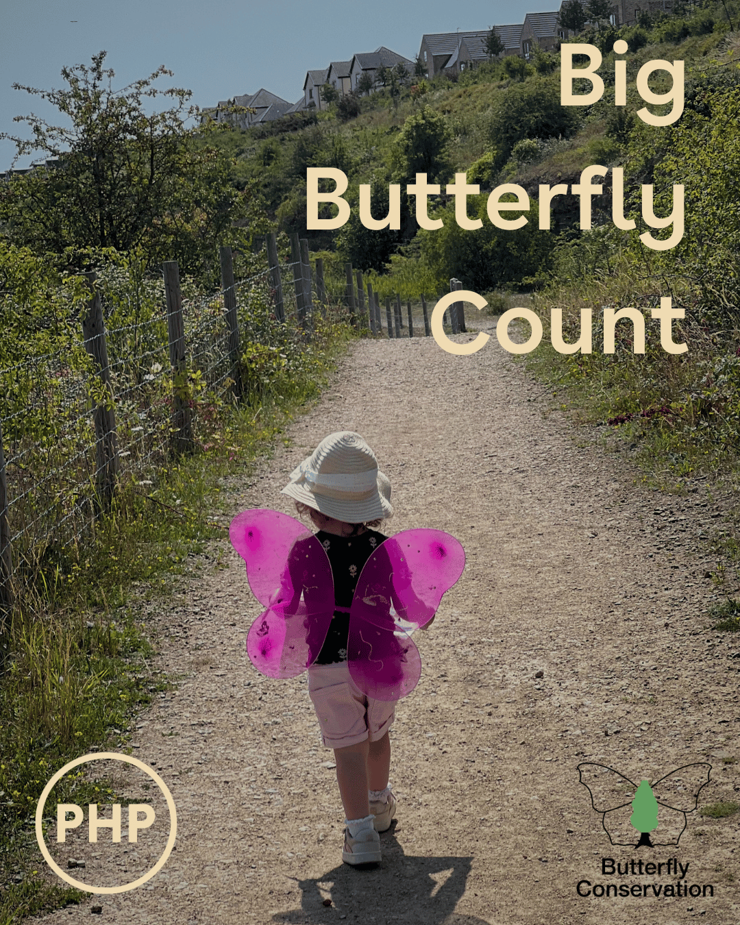 Big Butterfly Count low res