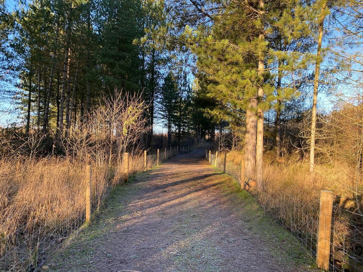 Old Quarry Wood Trail through the woods