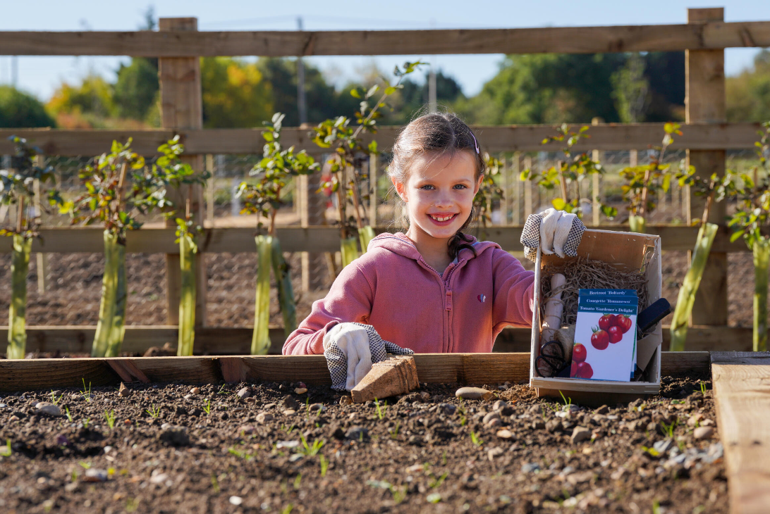 Allotment society