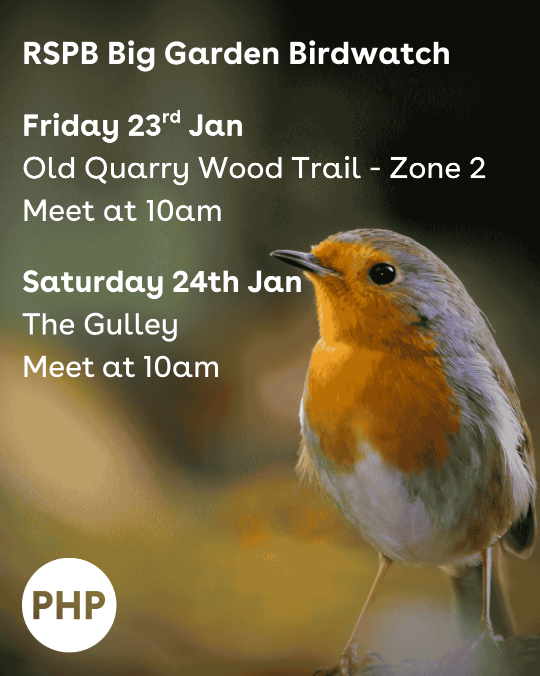 Big Garden Bird Count Low Res