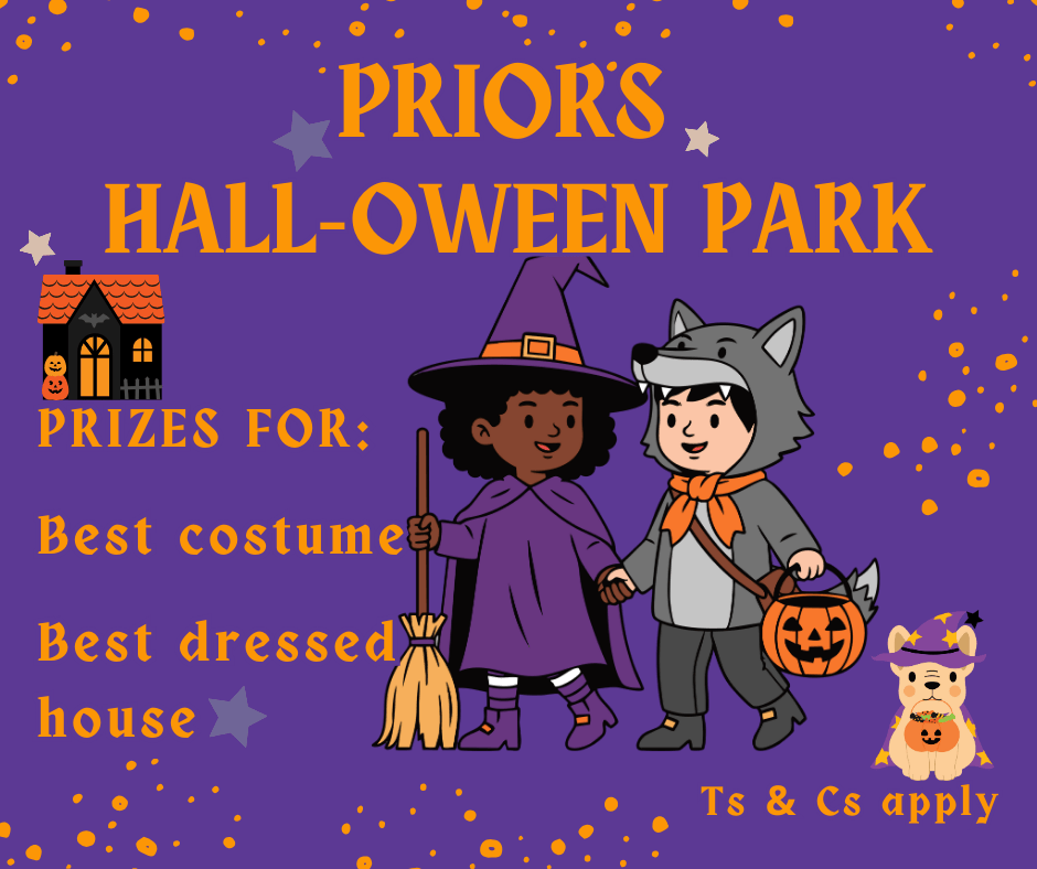 Copy of Halloween competition 1 (1)