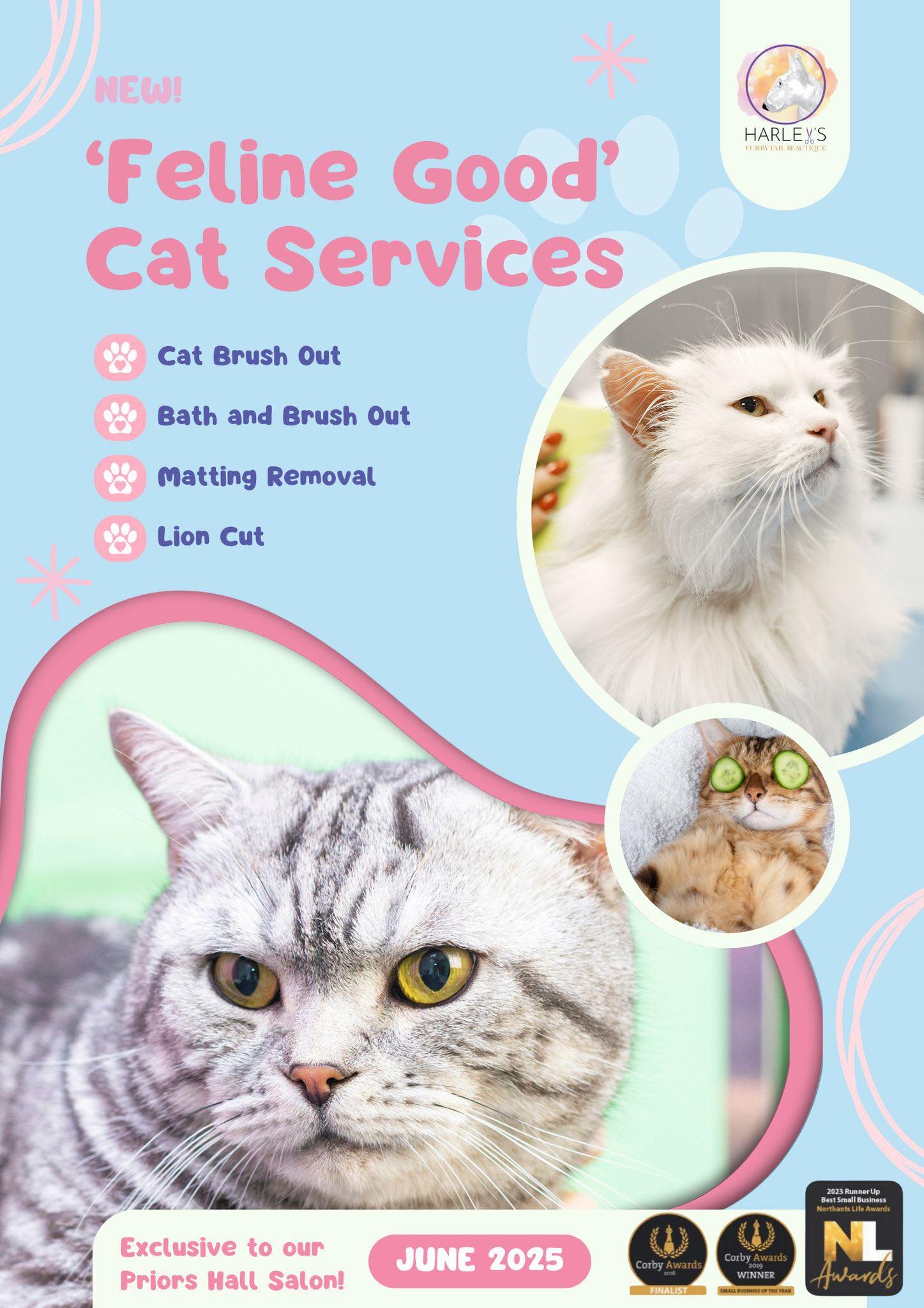 Harleys Cat Grooming