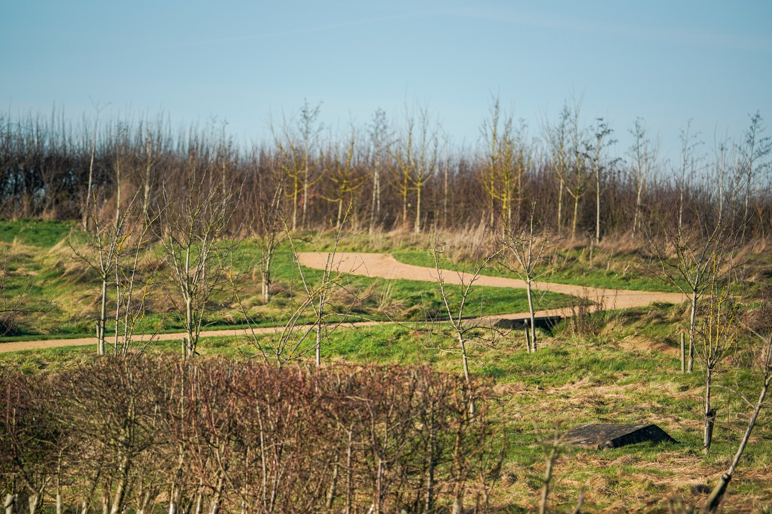Walkway to Normandy Hill at Houlton