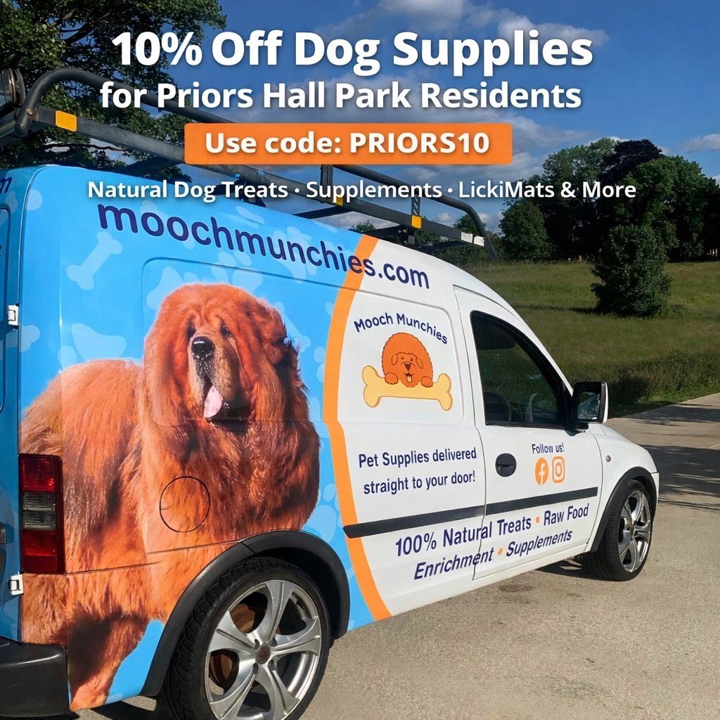 Mooch Munchies Special Offer