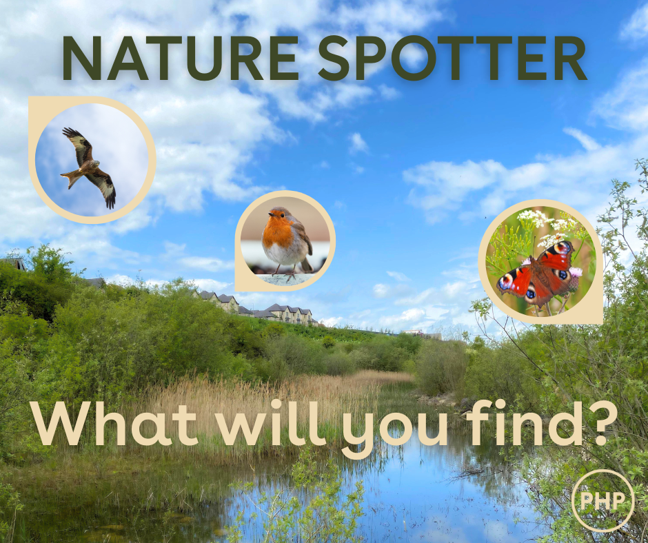 Nature Spotter (1)